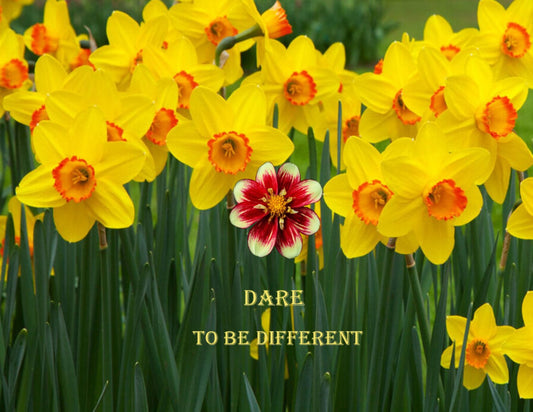 Dare To Be Different Digital Art Printable In A Field Of Flowers