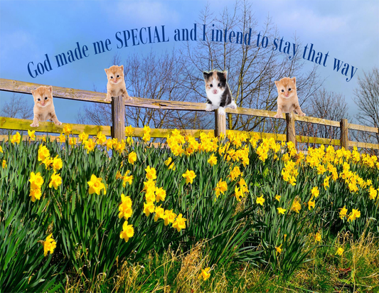 God Made Me Special Digital Art Print With Kittens and Daffodils