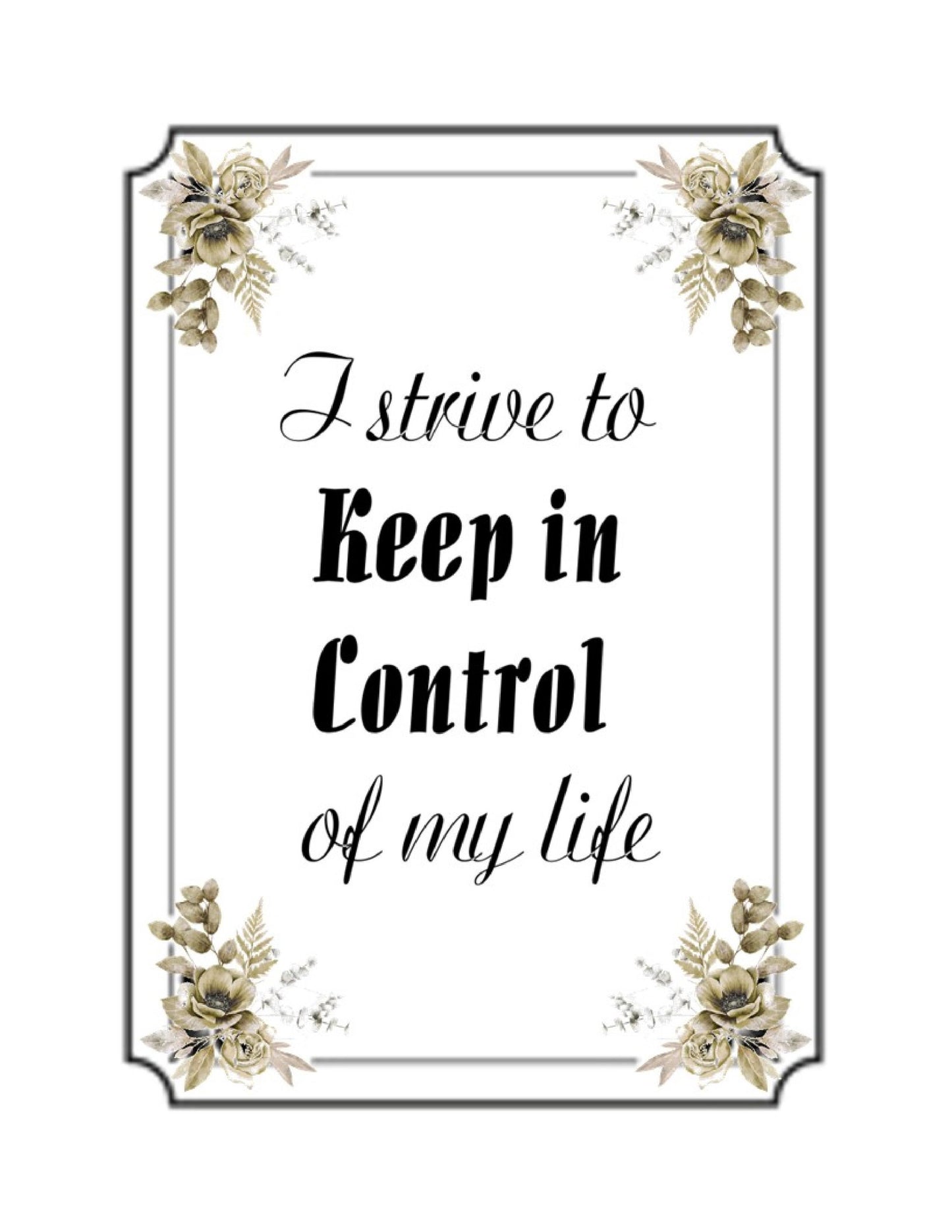 Courageous, Determined, Motivated, In Control Of Your Life Positive Affirmations Set of 4